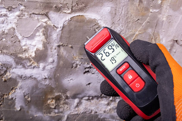 Washington, WV Mold Removal Company