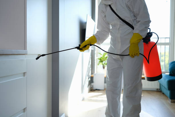 Best Toxic Mold Removal  in Washington, WV