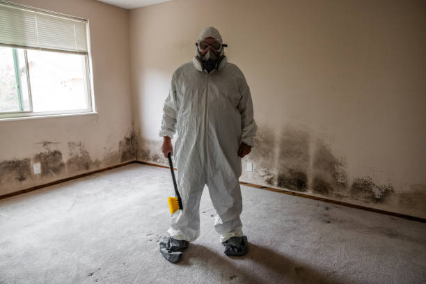 Best Emergency Mold Removal  in Washington, WV